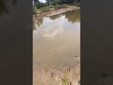 Bán đất gần mặt tiền 826C (Lê Văn Lương nối dài)Phước Lại, Cần Giuộc-0933644449