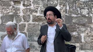 חייבים להיזהר מאוד בכבודה של ארץ-ישראל | הרב אליהו ובר (ישיבת הר הבית) - התמונה מוצגת ישירות מתוך אתר האינטרנט יוטיוב. זכויות היוצרים בתמונה שייכות ליוצרה. קישור קרדיט למקור התוכן נמצא בתוך דף הסרטון