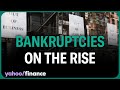 Bankruptcies increase for 5th month in a row, also Gen X and Millennials under most financial stress