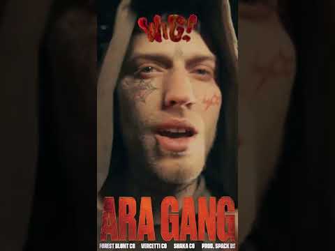 CENTRAL GANG x W!G - ARA GANG |Teaser| #shorts
