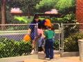 Carnival Of Numbers Complete Episode Part 3