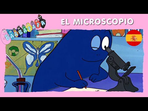 Barbapapa : EP19 - El Microscopio - EPISODIO COMPLETO | Dibujos animados en español