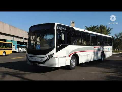 Caio Apache Vip V da Moratense  -  Portal da Mobilidade