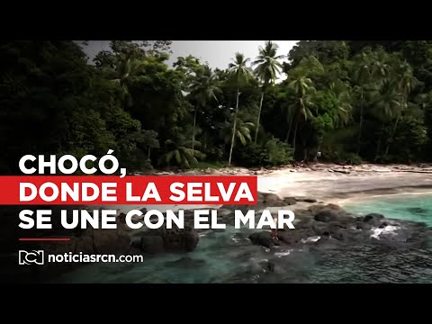 Chocó, el lugar donde la selva se une con el mar