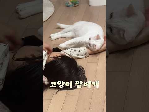 고양이에게 팔베개 해줬더니..