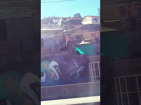 incendio lirquen Penco un desastre para la octava región del bio bio 🔥🌋🔥🌋🔥🌋🔥🌋