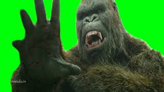 King Kong Green Screen With Sound Effect  H D 
