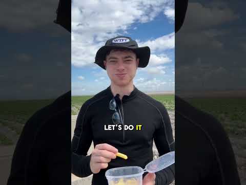 Walking Day 251: From Sanlucar de Barrameda to El Puerto de Santa Maria