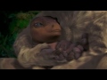 Dinosaur 2000 Hurt Version