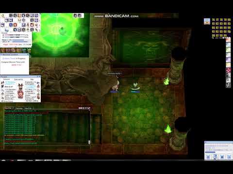 iRO 161lv Sorcerer solo ET (video starts from 90F)