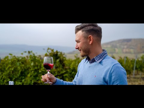 THE LAND OF HEROES: Alexandru Sereș - farmer from Satu Mare County