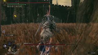 【ELDEN RING】忘れた頃のDLC#16