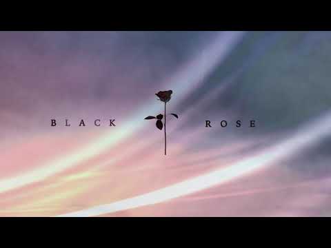 Arash Shadram Feat Haptic - Lies Lies