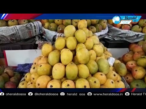 Herald TV English News Wrap 8pm 2 August 2023