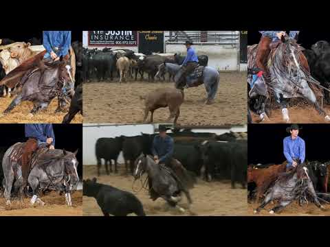 Rocky Mountain Blues