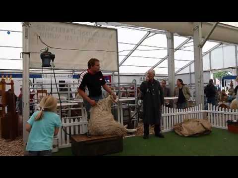 2011-09-02 Pferdestammbuch auf der NORLA Teil I-Desktop.m4v