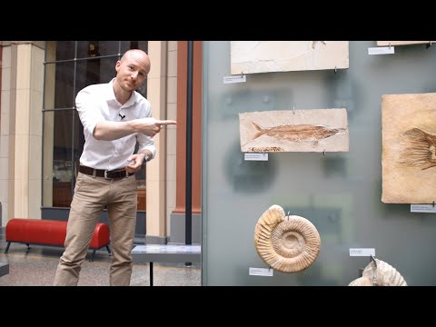 #Naturwissen: Evolution – Lamarck, Darwin & Co.