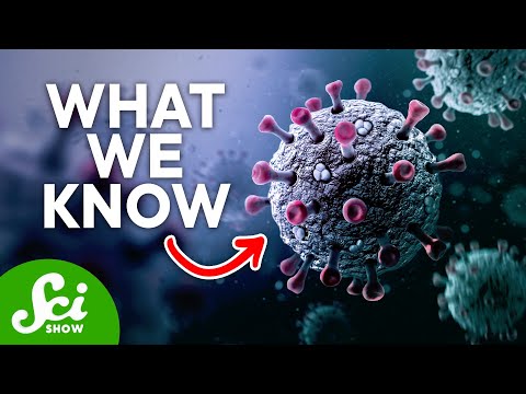 新型コロナウイルスについて知っておきたいこと｜2020年1月 (What We Know About the New Coronavirus | January 2020)