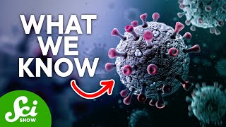 What We Know About the New Coronavirus