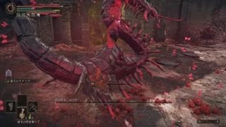 ELDEN RING_lv50 ソロ ロミナ