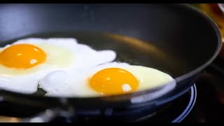 Hogyan készül? ❓💡A tojás 🥚