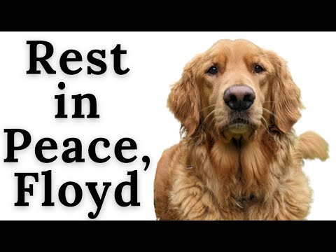 Darauf waren wir nicht vorbereitet. **Emotional**