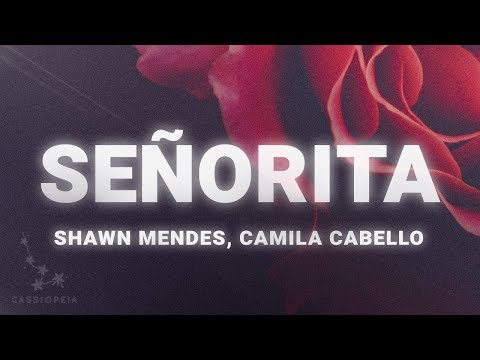 Shawn Mendes and Camila Cabello – Señorita (Lyrics)
