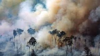 Amazonas   -   Peter  Backhausen