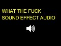 WHAT THE FUCK Sound Effect Audio