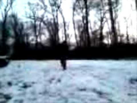 crazy pogo stick of doom