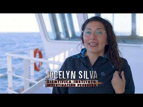 PESCADORES DE ALTAMAR T2 CAP 5