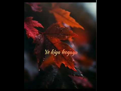 Tumhi Dekho Na Full Screen Whatsapp Status | Love Status| Itx_Eza Creations