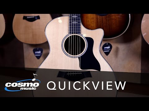 Taylor Limited E14ce Sitka Spruce: West African Ebony Quickview - Cosmo Music