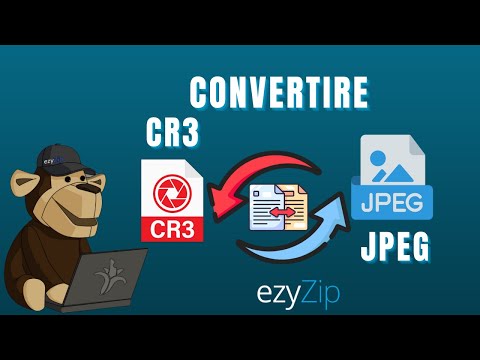 Come Convertire Canon CR3 in JPEG in Pochi Secondi!