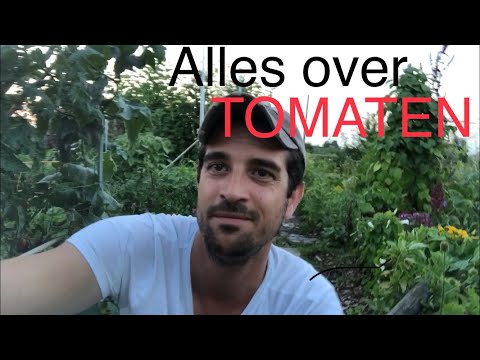 , title : 'Alles over het kweken van Tomaten!!'