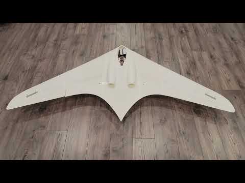 1/10 Scale Horten IX Ho-229 3D Printed RC Jet - Control Surface Test