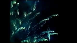 Nite Jewel - Spiritual Nite Life