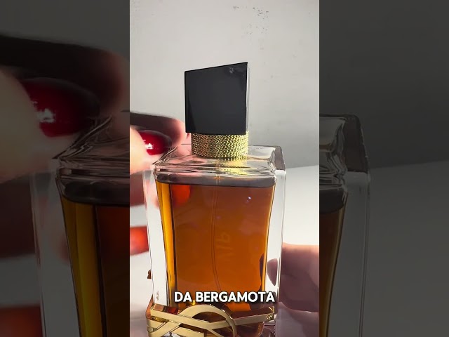 イヴサンローラン LIBRE LE PARFUM 50ml Yves Saint Laurent Libre Le Parfum 50ml/1.6oz | Strawberrynet BR