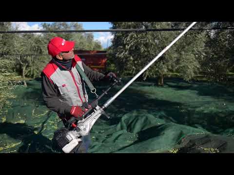 Cifarelli Spa - SC605 shaker