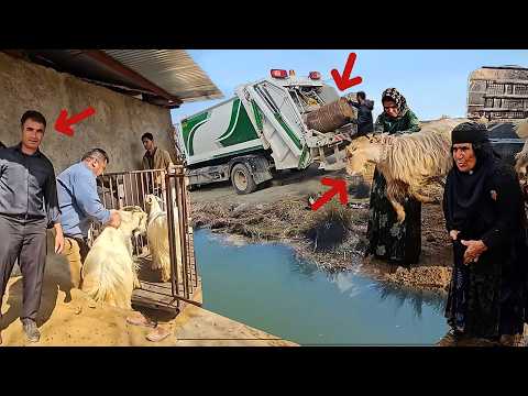 Fariba's exciting journey to bring strange guests to the farm