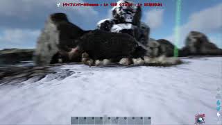 ARK