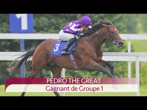 PEDRO THE GREAT, Gagnant des Phoenix Stakes (Gr.1) au Curragh.