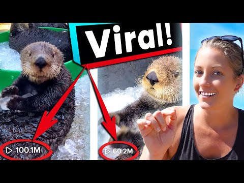 ラッコは氷が大好き！ (Sea Otter LOVES Ice and Goes VIRAL!)