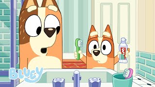 Robo Bingo 🤖 🪥 | YEPYENİ BLUEY KISALAR ✨ 📺 | Bluey Türkçe Resmi Kanal