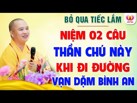 (RẤT LINH NGHIỆM) Niệm 2 câu THẦN CHÚ này khi đi đường - Vạn Dặm Bình An │Thầy Thích Đạo Thịnh