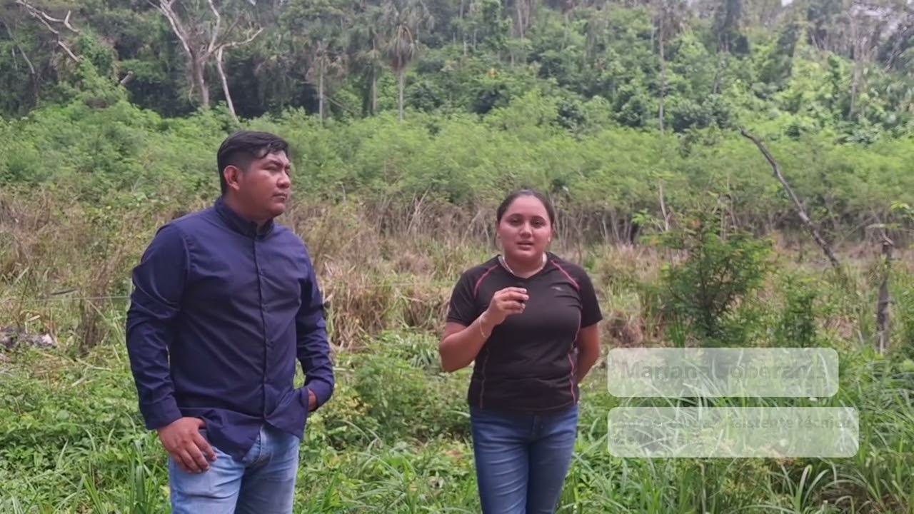 Ganadería sostenible en Yucatán | PPD México