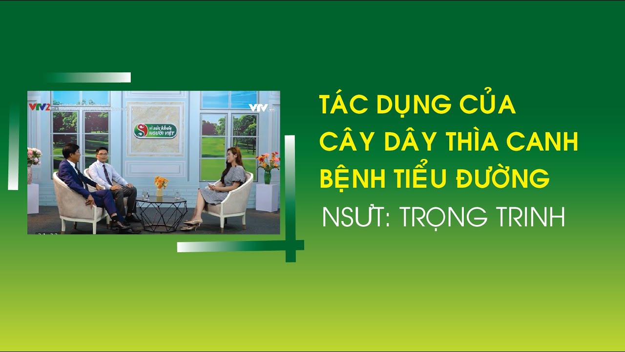 Nghệ sĩ Nhân dân Trọng Trinh - Tác dụng của dây thìa canh với tiểu đường