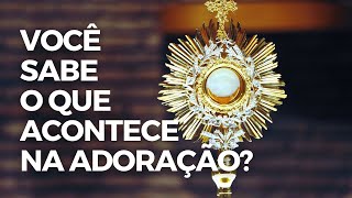 Adoração ao Santíssimo Sacramento: o que é, como surgiu e por que é importante