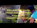 Video Detik Detik Pemuda Diterkam Buaya