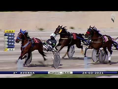 Aversa trotto 24 Marzo 2021 - 2° Corsa